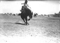 North Platte Rodeo