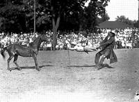 Jack Owens "Spike and another Jack" California Frank's Rodeo