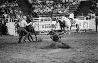 Mike Bailey Calf roping