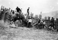 Bill Moss on "Lee Rider" Great Falls, Mont.