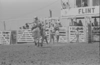 Amateur bronc rider Roger Hiatt