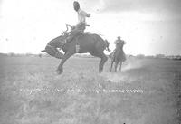 Floyd Stillings on "Old Dad" Alliance Rodeo