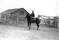 [Unidentified Man in jacket, gloves, & city hat on horseback; Tall rail fence in background]