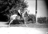 [Unidentified cowgirl on horse standing stretched, trees in background]