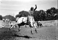 [Unidentified Cowboy bareback riding]