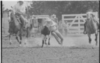 Todd Jarrett Steer wrestling