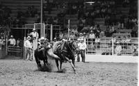 Kurt Butler Steer wrestling