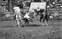 Jeff Dorenkamp Steer wrestling