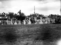 [Unidentified Cowboy on airborne bronc in front of chutes]