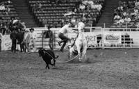 Brad McReynolds Calf roping