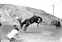 [Unidentified Hatless cowboy headed for the dirt head-first over bronc's head]