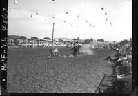 Homer Pettigrew Calf Roping