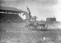 Joe Herrin & His High Jumping Horse, Alliance Rodeo