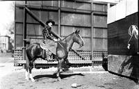 [Unidentified Cowboy in plaid shirt and bat wing chaps on horseback behind billboard in town]