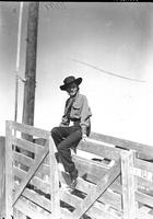 [Unidentified posed cowgirl sitting on fence]