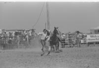 Clark Hawkins Calf roping