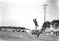 [Unidentified Cowboy doing one-foot Slick Saddle Stand on galloping horse]