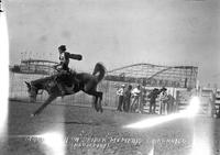 Mary Keen on "Spider" Memphis Fair & Rodeo