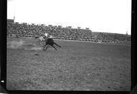 Irby Mundy Steer Roping