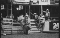 Chuck Ingraffia on Bull # 180