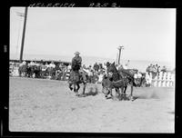 Glen Tyler Steer Wrestling