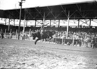 [Unidentified Cowboy riding bronc]