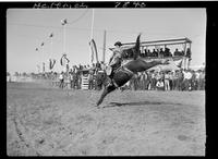 Buck Rutherford on Rough Going