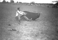 Grady Wilson Bulldogging Cody Stampede