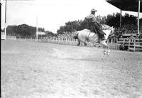 [Chet McCarty riding "Lee Rider" who is airborne in front of large capacity stands]