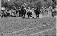 Jimmie Cooper Steer wrestling