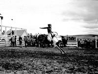 [Doris Haynes riding bronc]