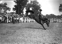 [Jim O'Connell riding and staying with his mount "Filer"]