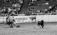Tommy Smith Calf roping