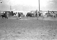 [Unidentified fallen Calf roper in front of line of cars and a fence of advertising]