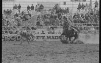 Unidentified Calf roper