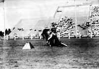 [Gene Autry on Champion who is bowing; tall grandstand in background]