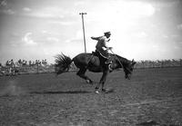 [Wayne Louks wearing military shirt and cap with visor riding and staying with his bronc]