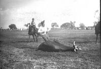 E. Pardee in the Steer Roping 101 Ranch