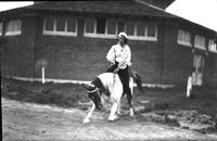 [Unidentified woman atop horse which is bowing head and kneeling]