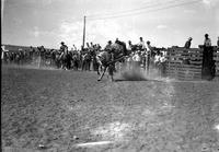 [Unidentified Cowboy grasping rein rope on saddle bronc as he is about to leave rear of bronc]