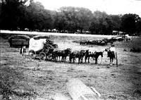[Covered wagon with mounted cowboys at either end; herd of horses in background]