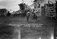 Hank Keenan Taking a Wild Chariot Ride Sidney Iowa Rodeo