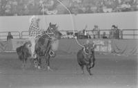 Dave Brock Calf roping