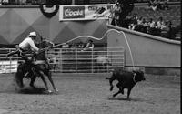 Roy Holmes Calf roping