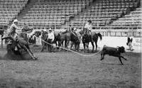 Buddy Geter Calf roping