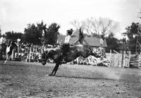 [Possibly Margie Greenough riding bronc]