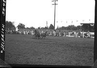 Bill Hartman Steer Wrestling