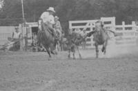 Dean Denton Steer wrestling