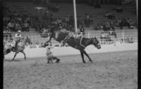 Don Malli on Rusty