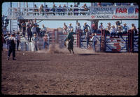 Charlie Driver on Bull #23
